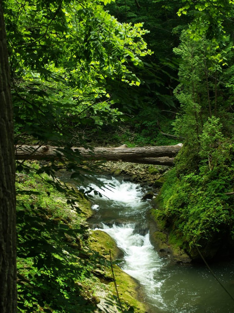 Clifton Gorge Rapids