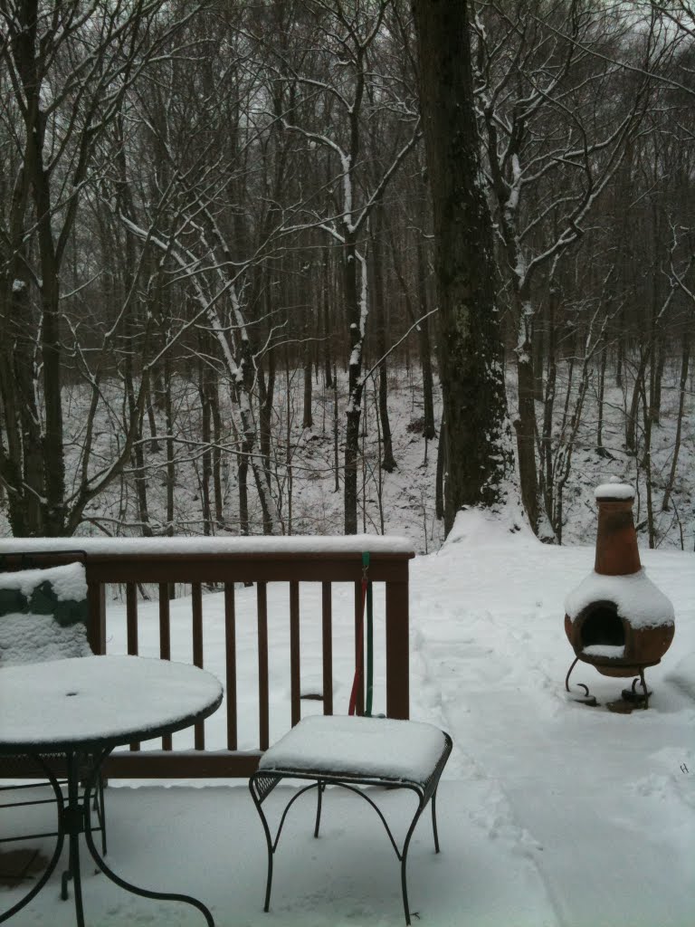 Backporch overview ravine