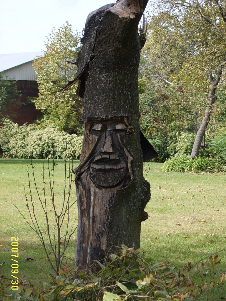 Spirit of Wood