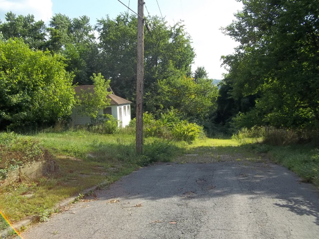 Harry Street (Youngstown, Ohio)