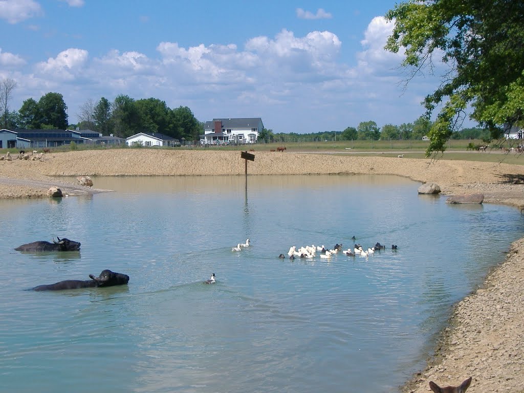 Wagon Trails Animal Park in 2006