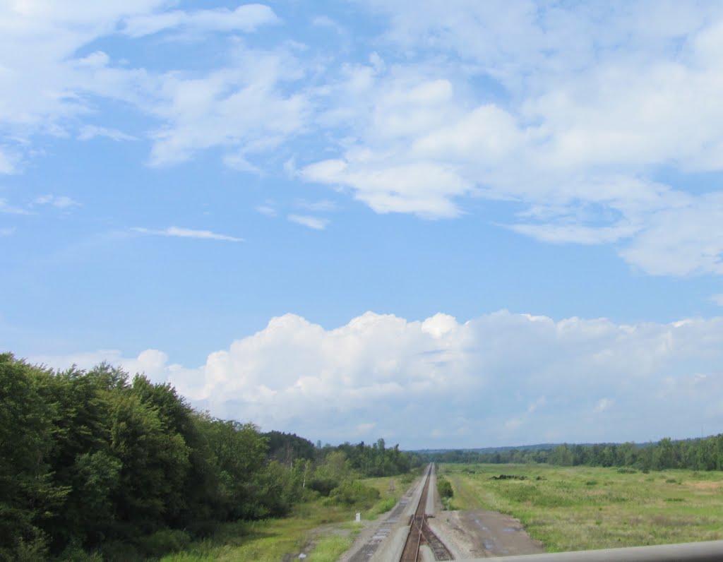 Tracks