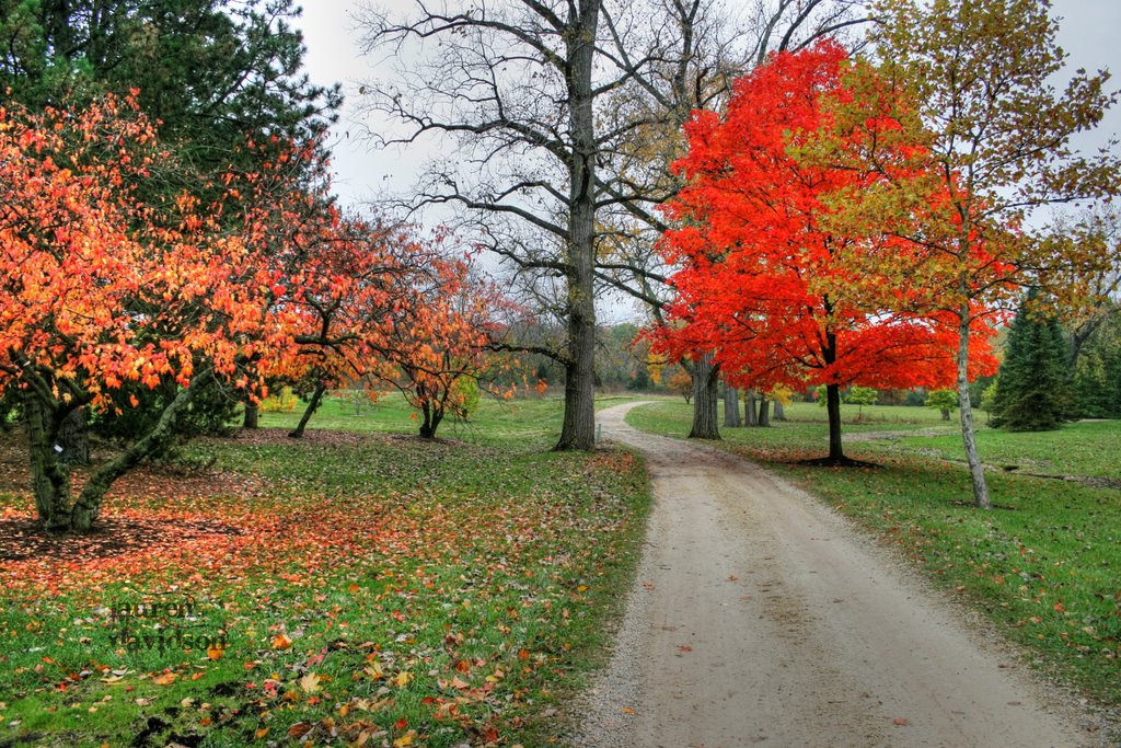 Cox Arboretum
