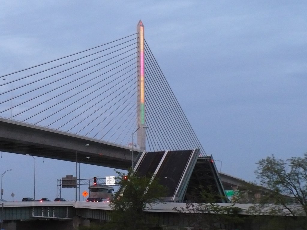 Skyway & Craig Bridges