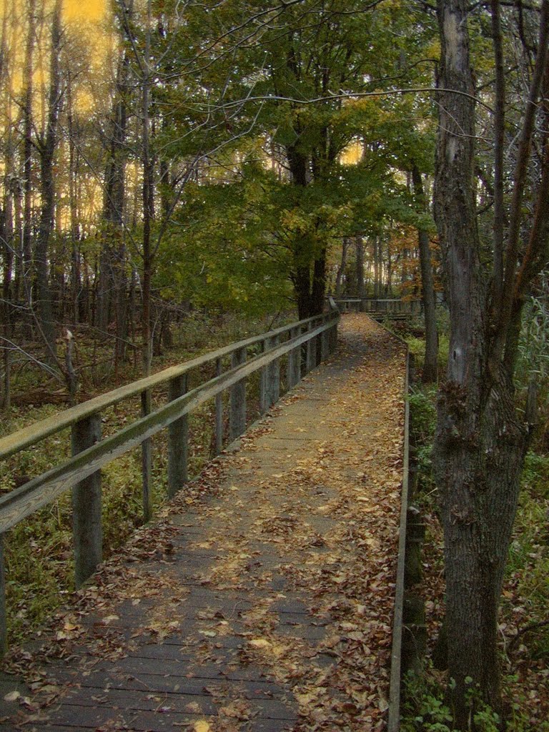 Boardwalk Maumee Bay State Park
