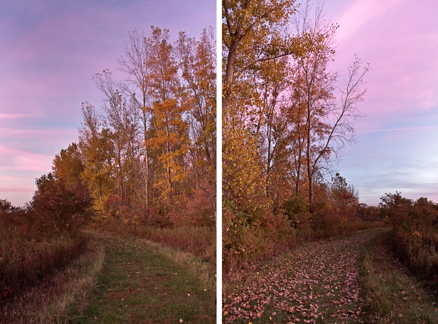 Two Views