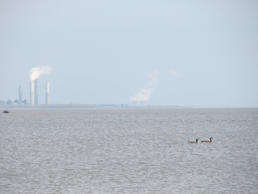 Monroe  fire (left) and Fermini nuclear (right) power plants with geese and ducks