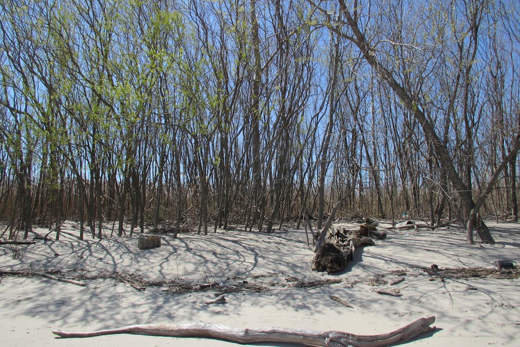 Erie Beach