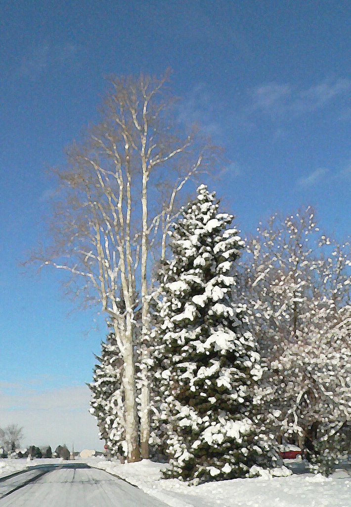 Winterscape, Findlay, Ohio