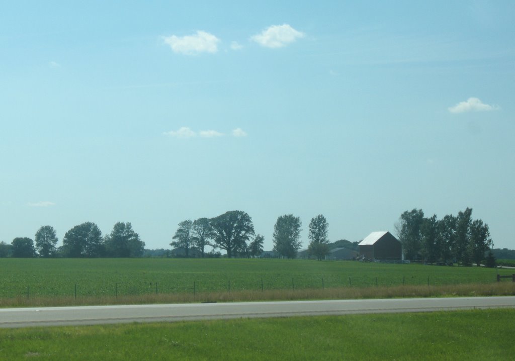 Shed and blue sky