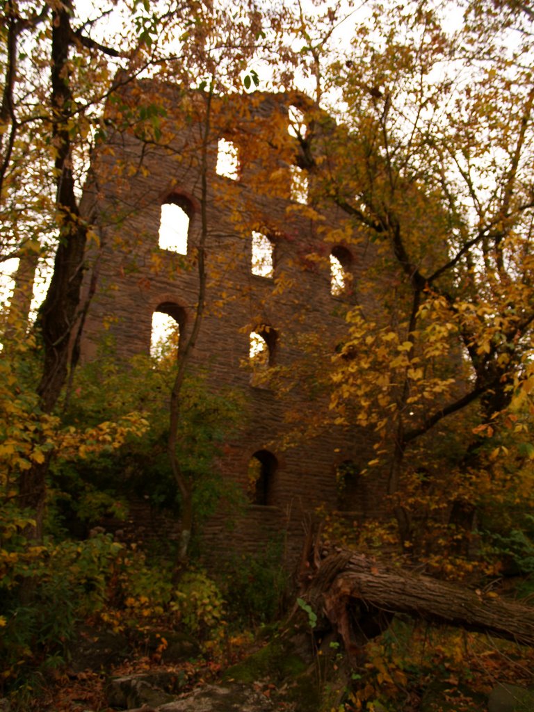 Bieber Mill