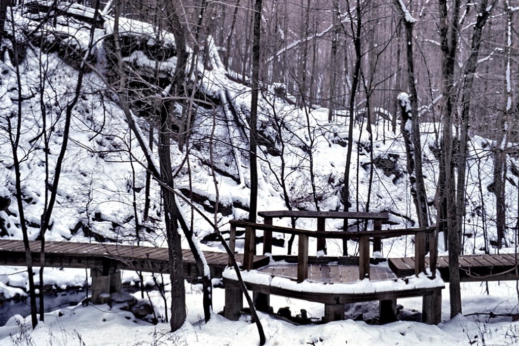 Charlston Falls Jan 1985