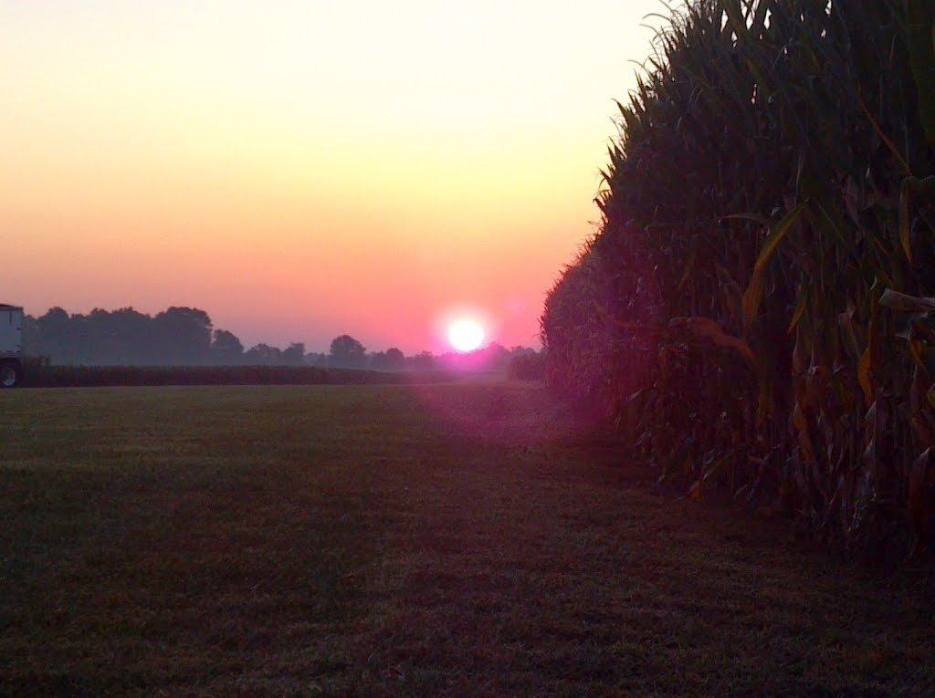 Sunrise @ Home