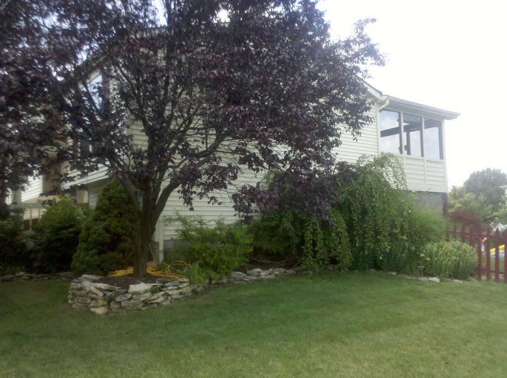 Home