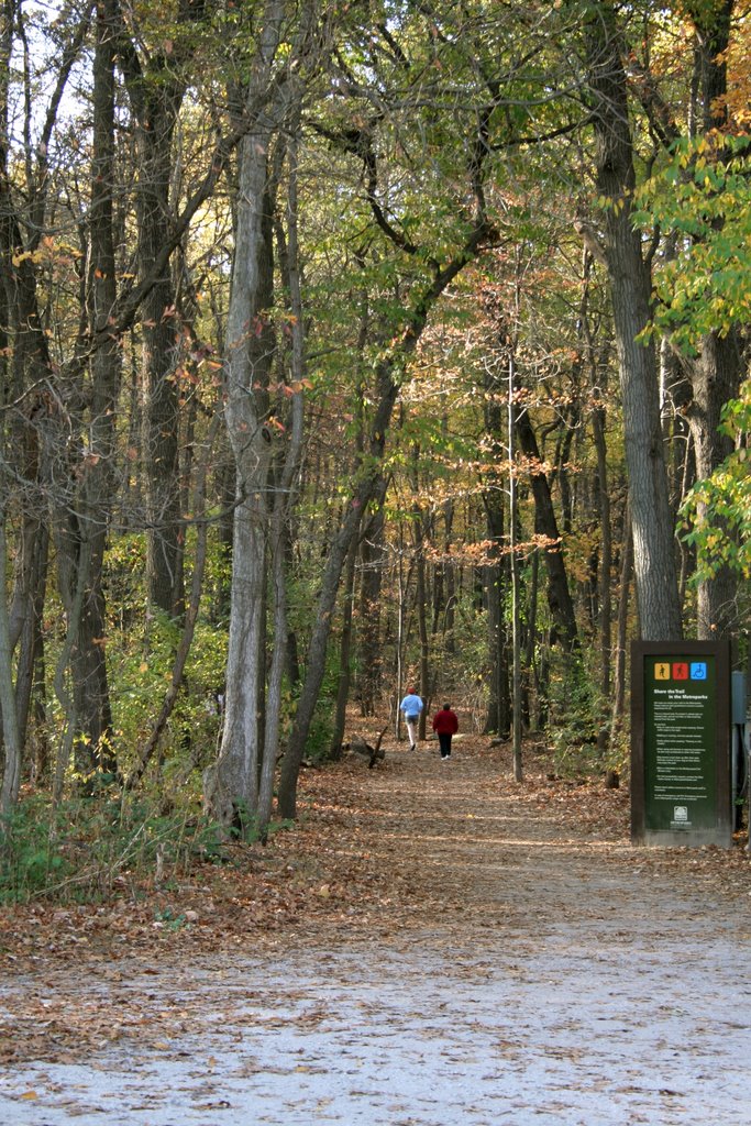 Wildwood Preserve Metropark, Toledo Ohio