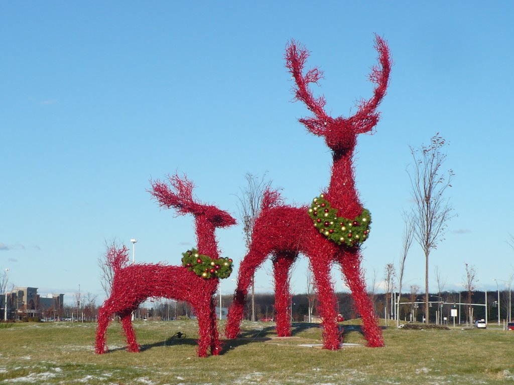 Fallen Timbers reindeer