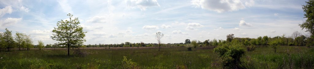 Ewing Island