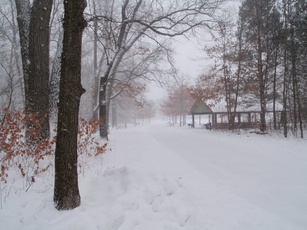 Wildwood Metropark 2/9/10