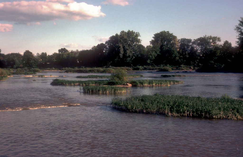 Maumee River