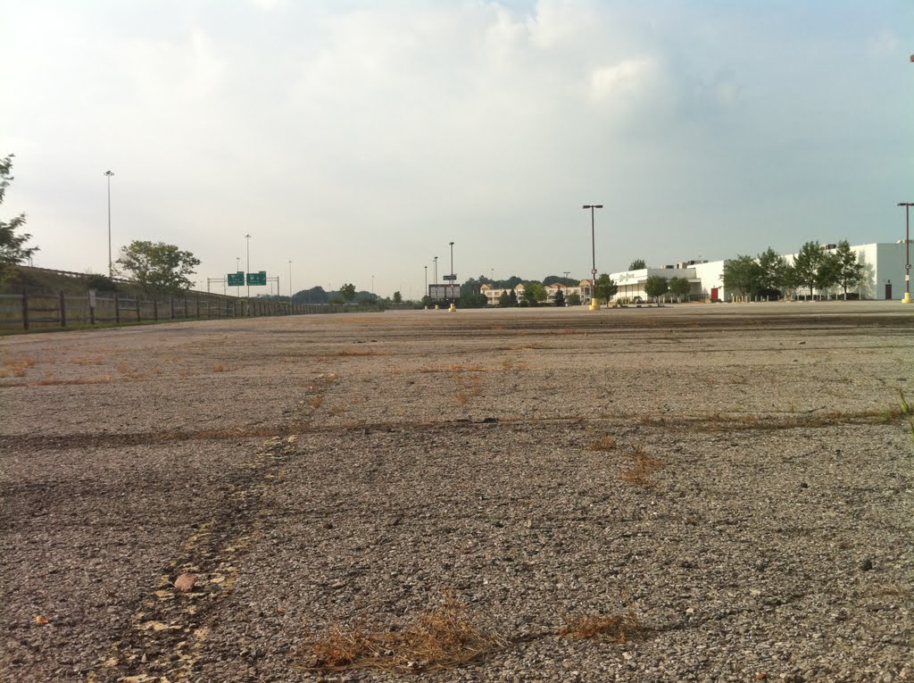 parking lot of the damned