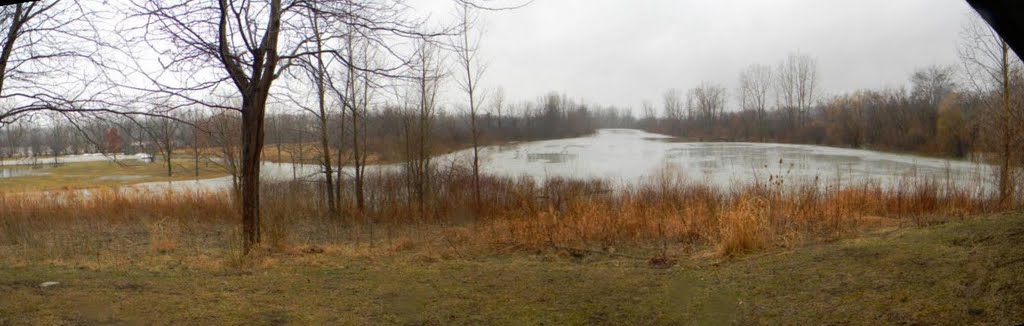 SideCut Park by the Bird Blind 030511