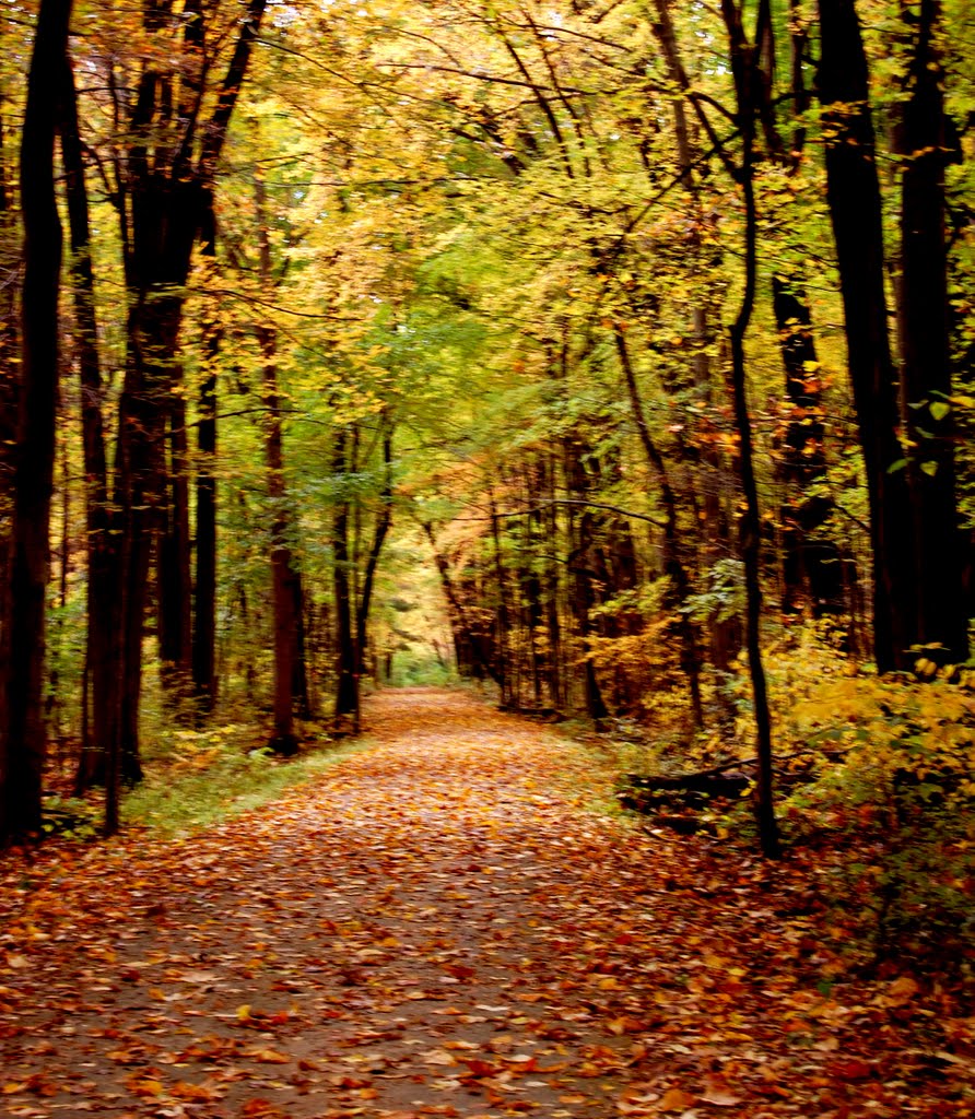 Secor Metro Park