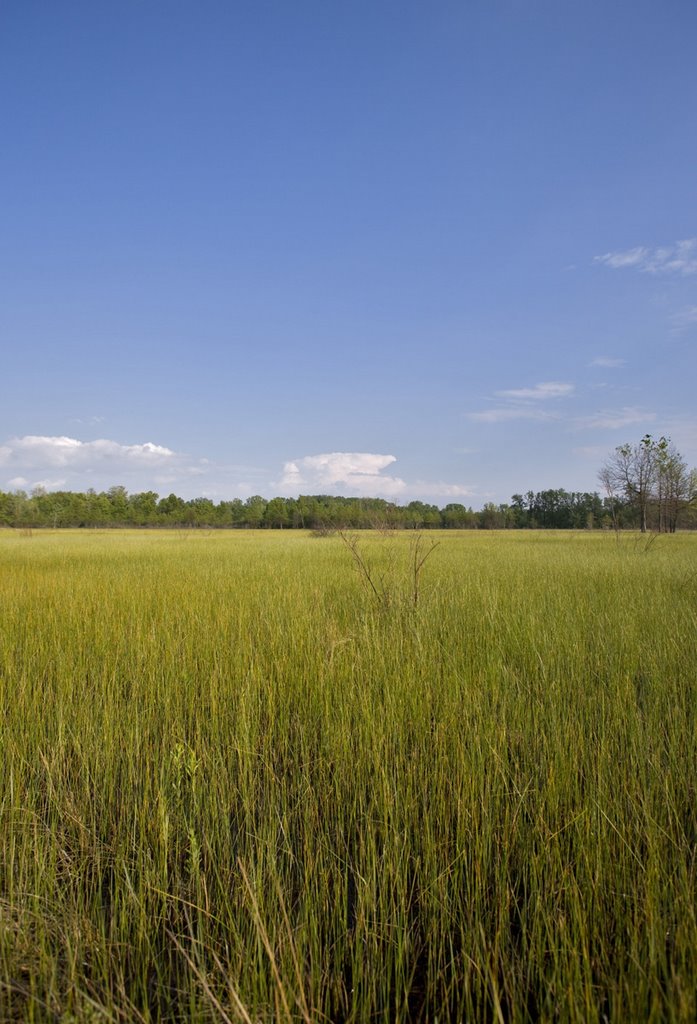 Irwin Prairie Nature Preserve