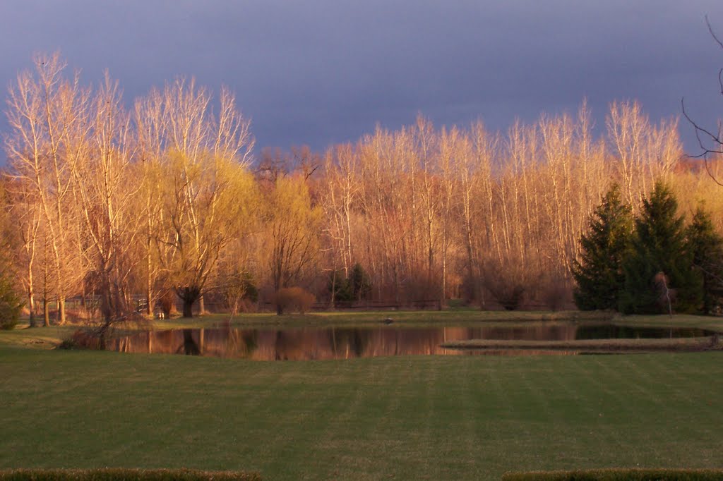 Fall Evening Backyard