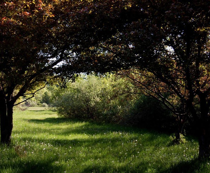 Secor Metro Park