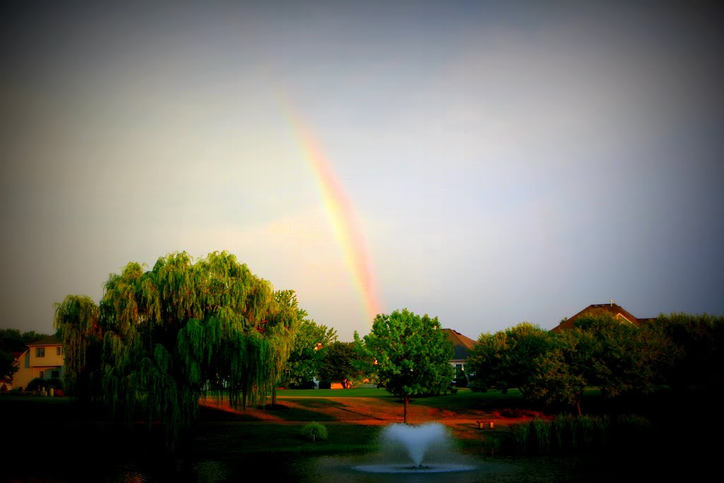 Pond at Fox Hollow