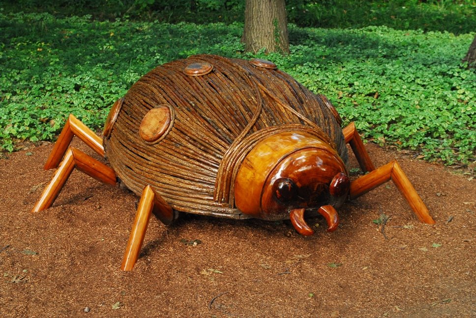 Wooden Bug