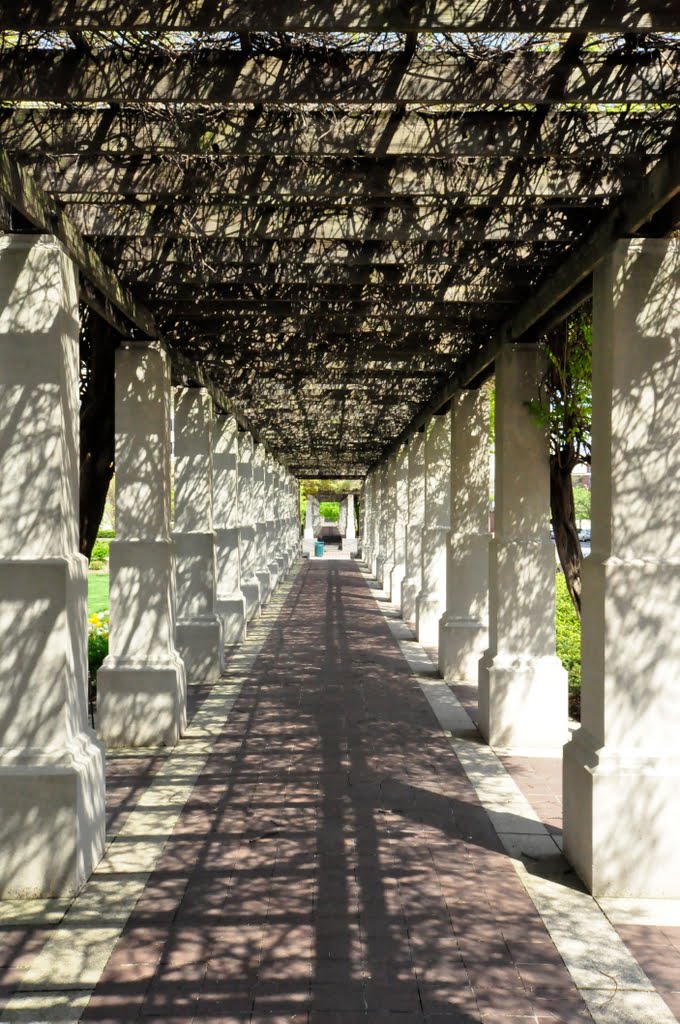 Trellis in Downtown Cincinnati
