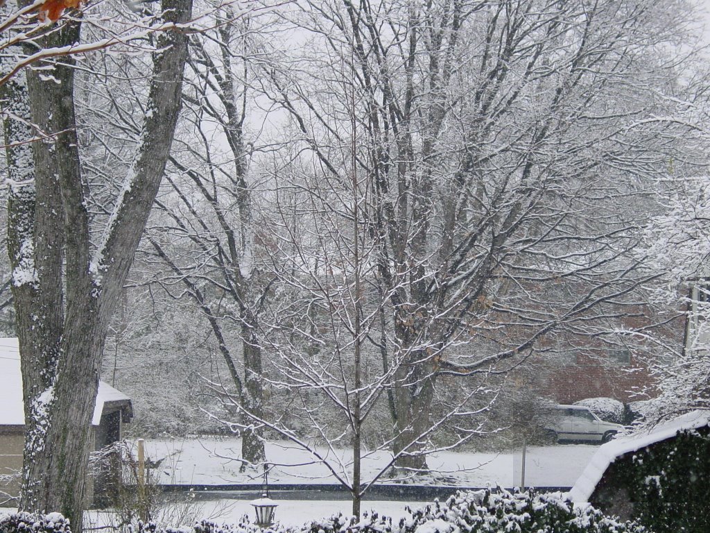 Snowy day