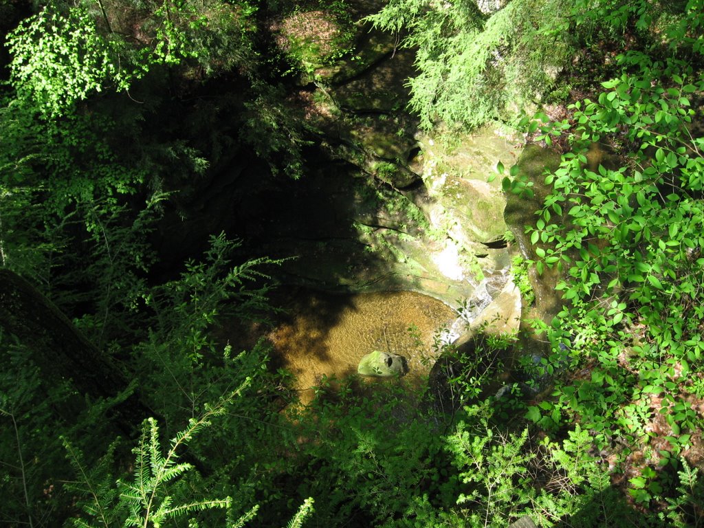 Conkles Hollow Waterfall from Top (~100)
