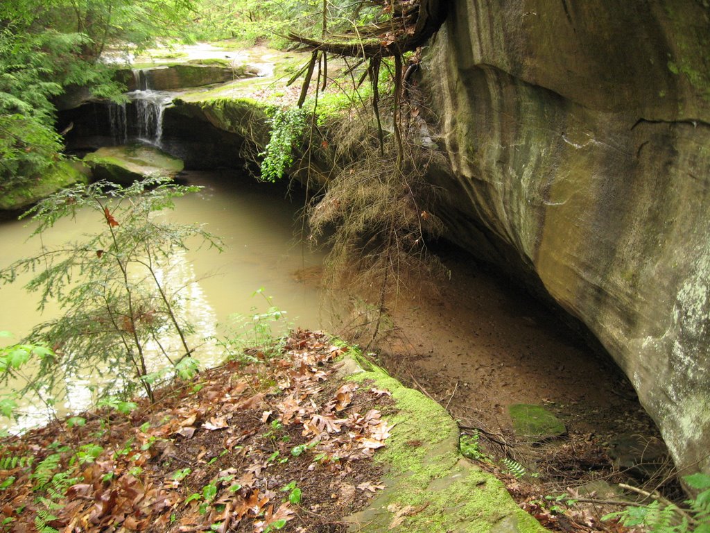 Waterfall at Boord Preserve (~15)