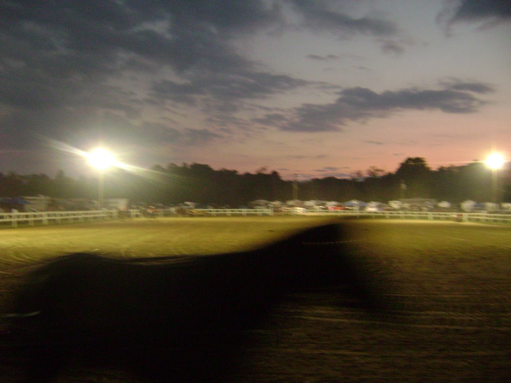 Horse show at the Jackson County Fair, WV, 2008