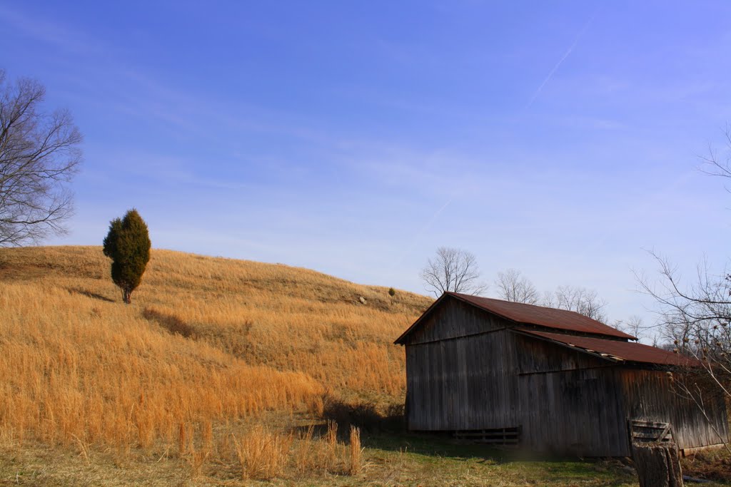 A Roadside Barn