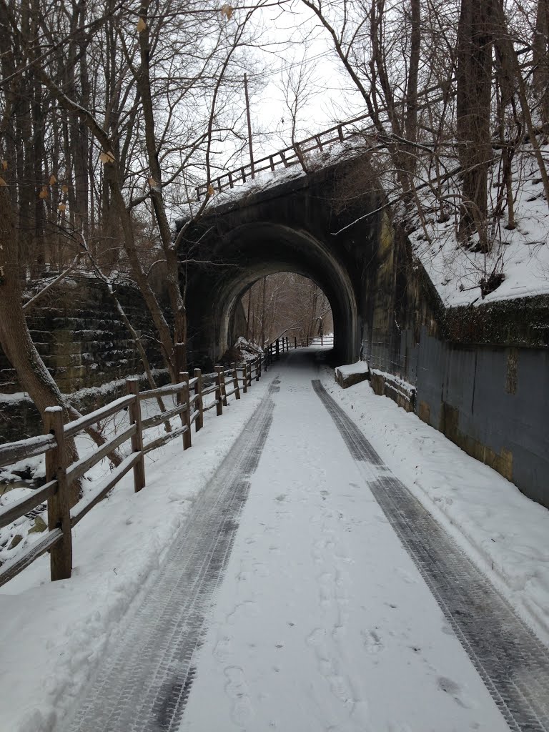 Sidney Feeder Canal Trail.