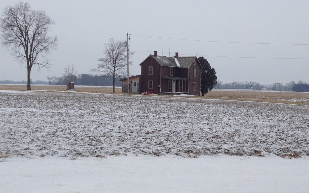 In a field.