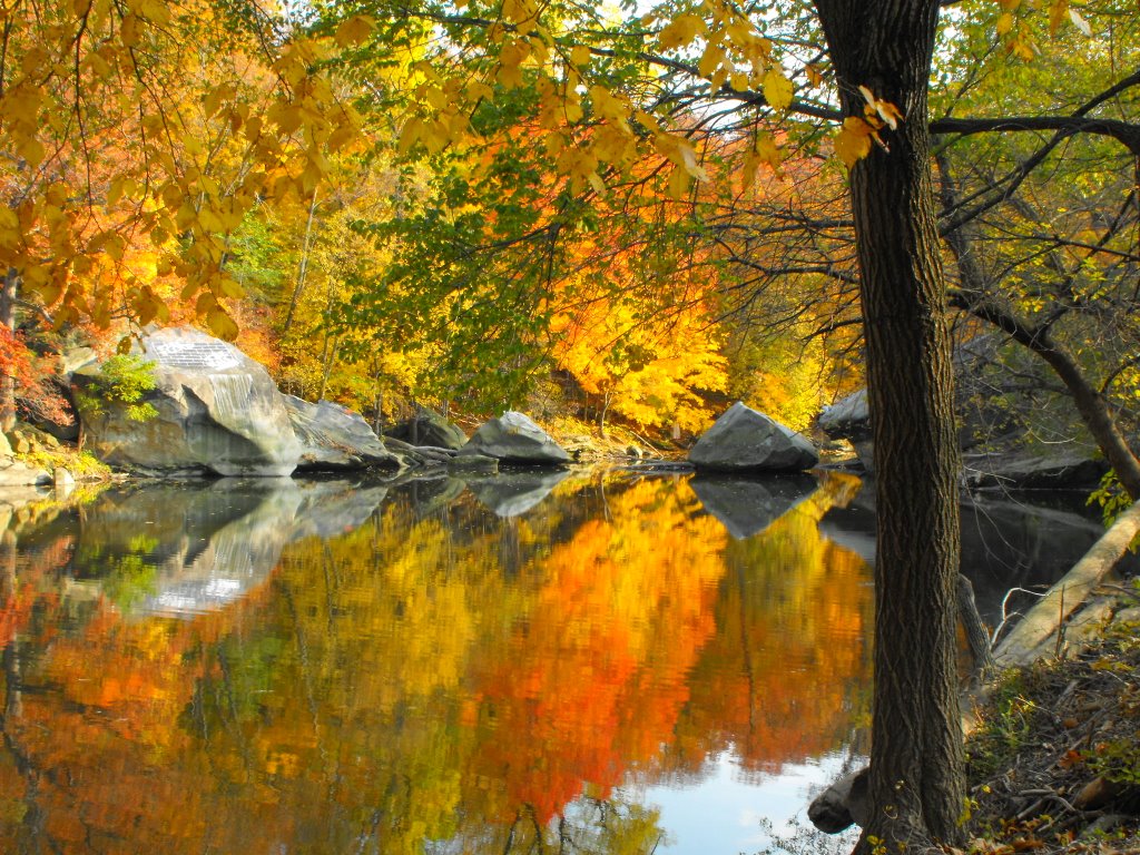 Fall mirror