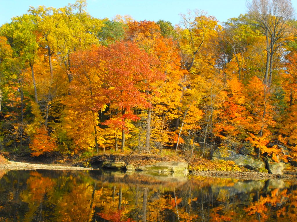 Fall foliage reflections.