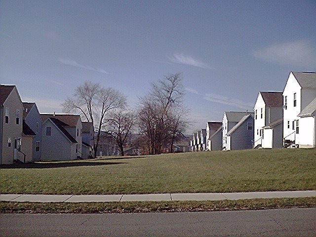 Arlington Heights Hood