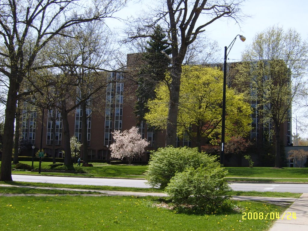 Park Vista II