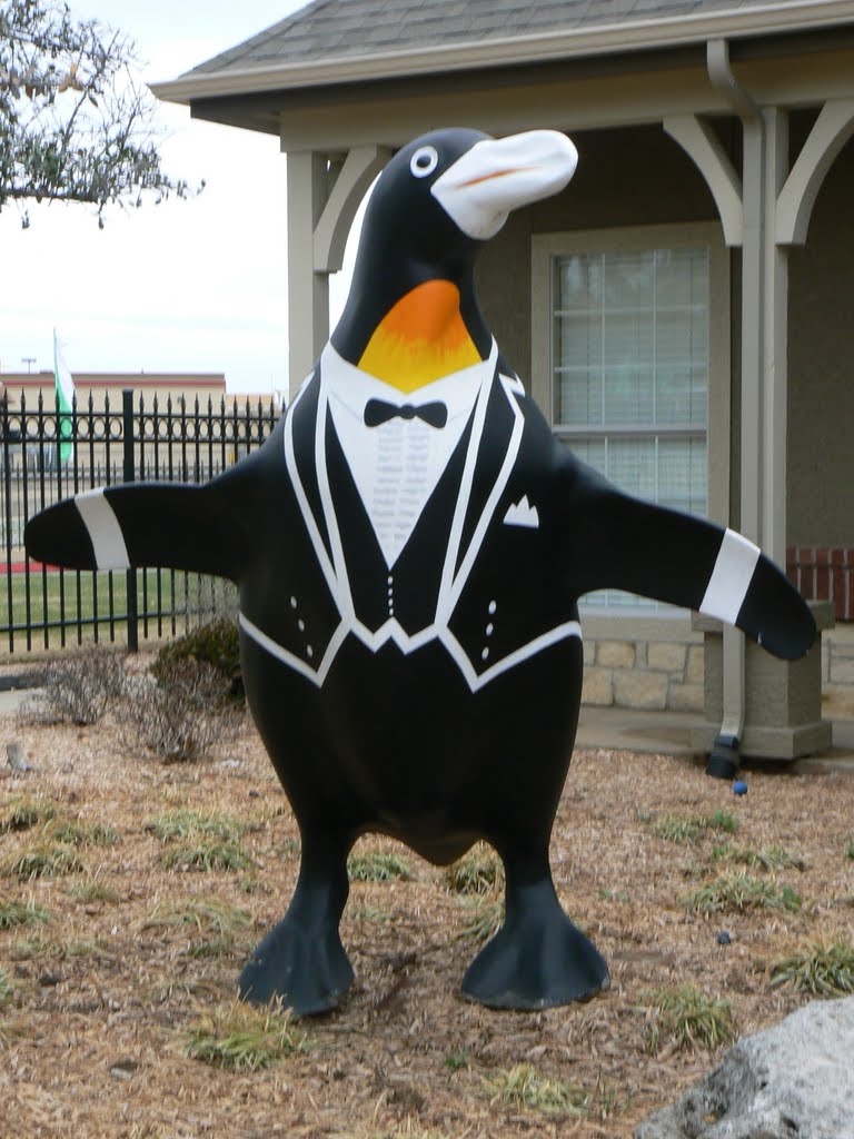 Tuxedo Penguin