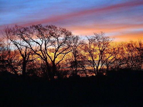 This picture was taken one cool November morning looking east at the Deep Cedar Creek east of Tuttle, Oklahoma (US).