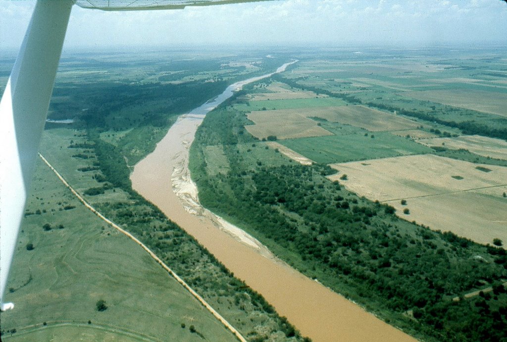 Nocona