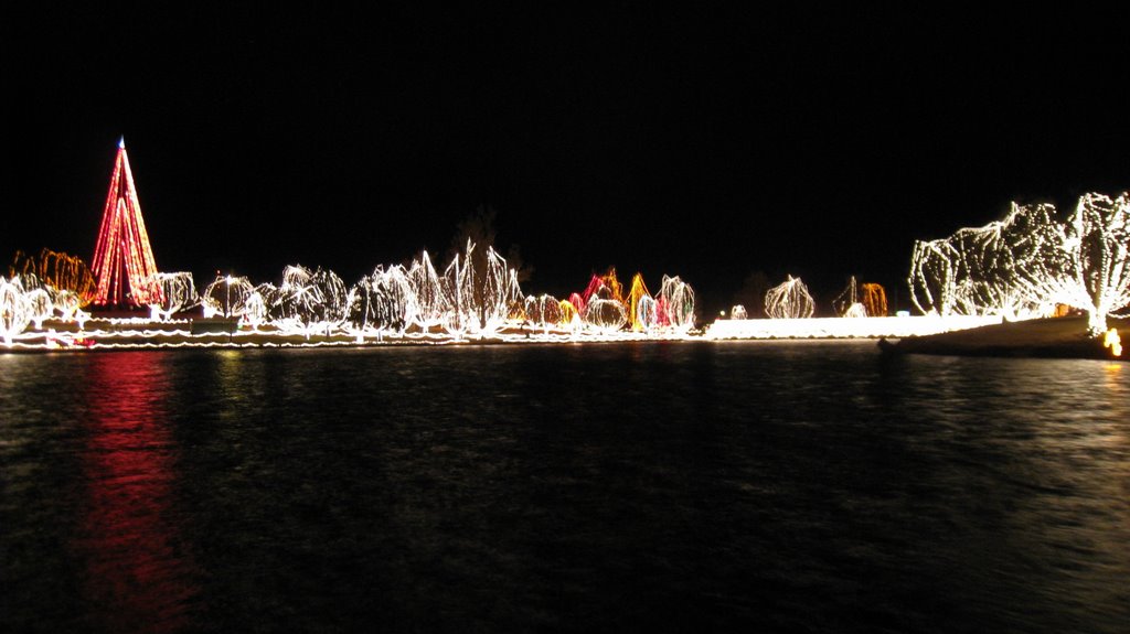 Festival Of Lights