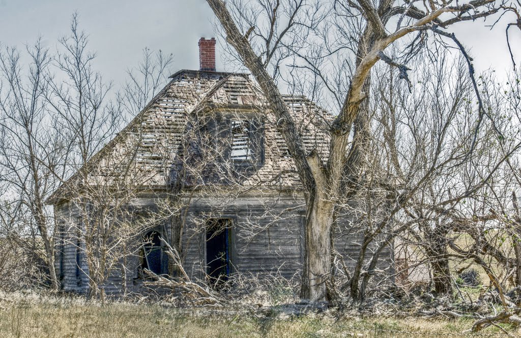 Nobody Home