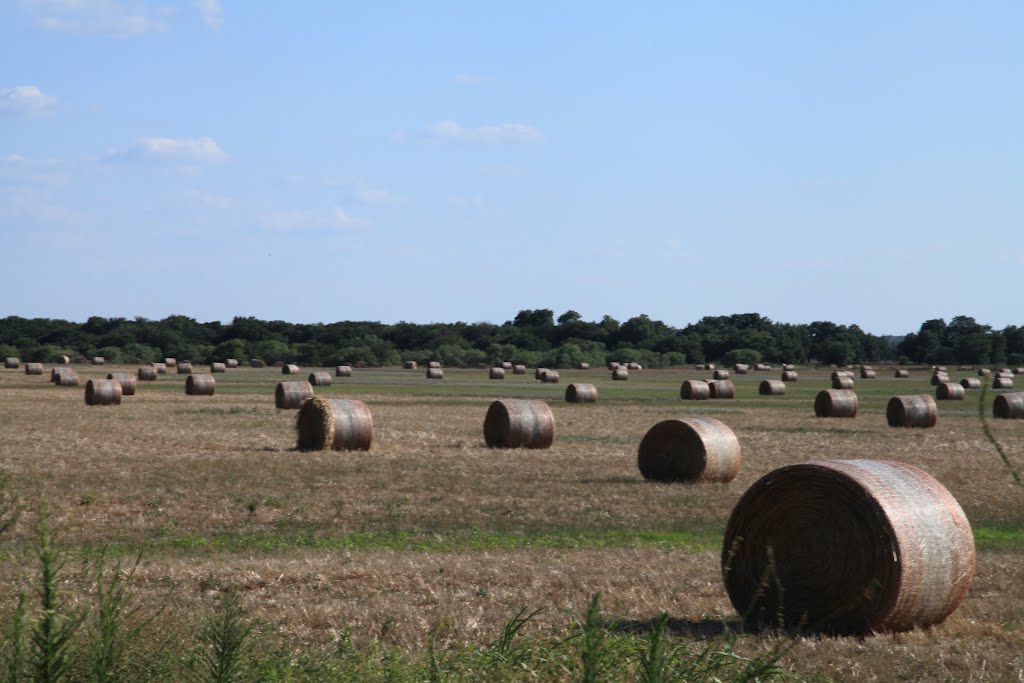 Hay season