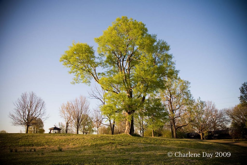 Fort Smith National Historic Site
